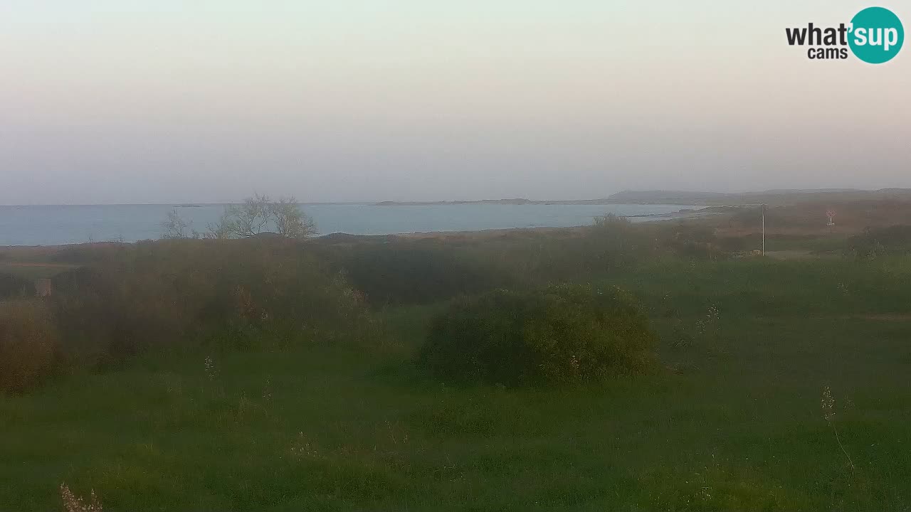 Plage Mari Ermi | Is Arutas – Oristano