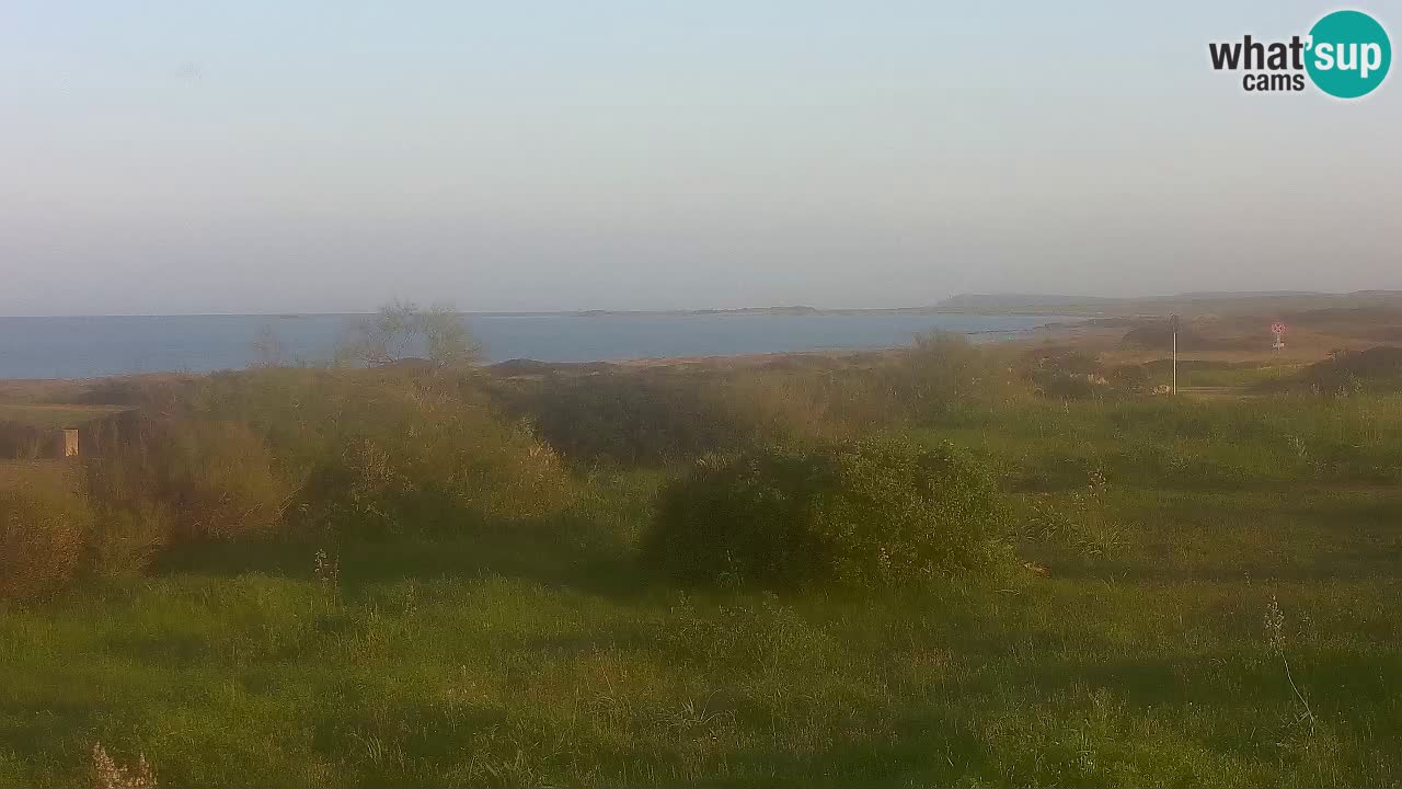 Mari Ermi Strand | Is Arutas – Oristano