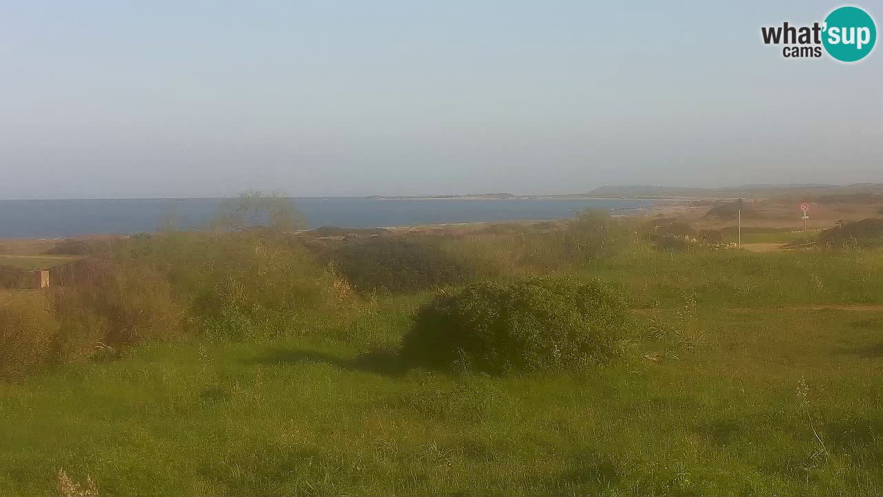 Mari Ermi beach | Is Arutas – Oristano