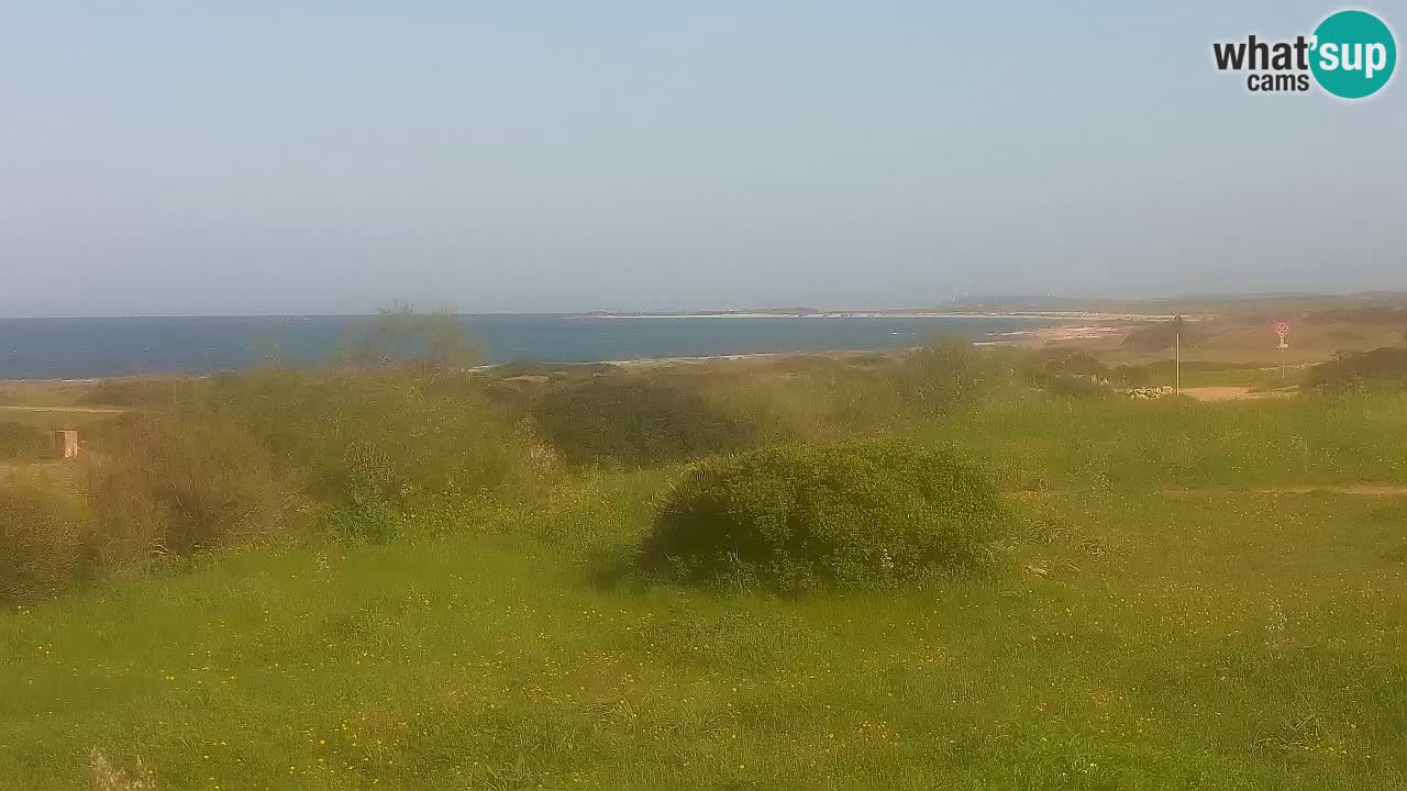 Mari Ermi Strand | Is Arutas – Oristano