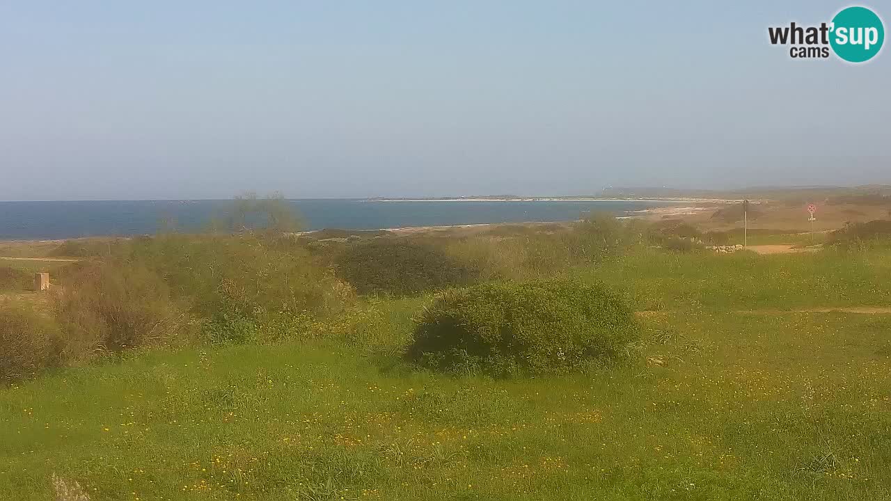 Plage Mari Ermi | Is Arutas – Oristano