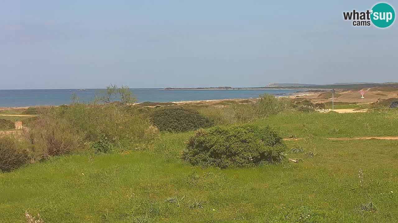 Mari Ermi beach | Is Arutas – Oristano