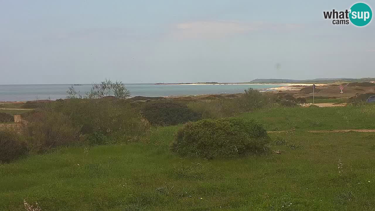 Plaža Mari Ermi | Is Arutas – Oristano