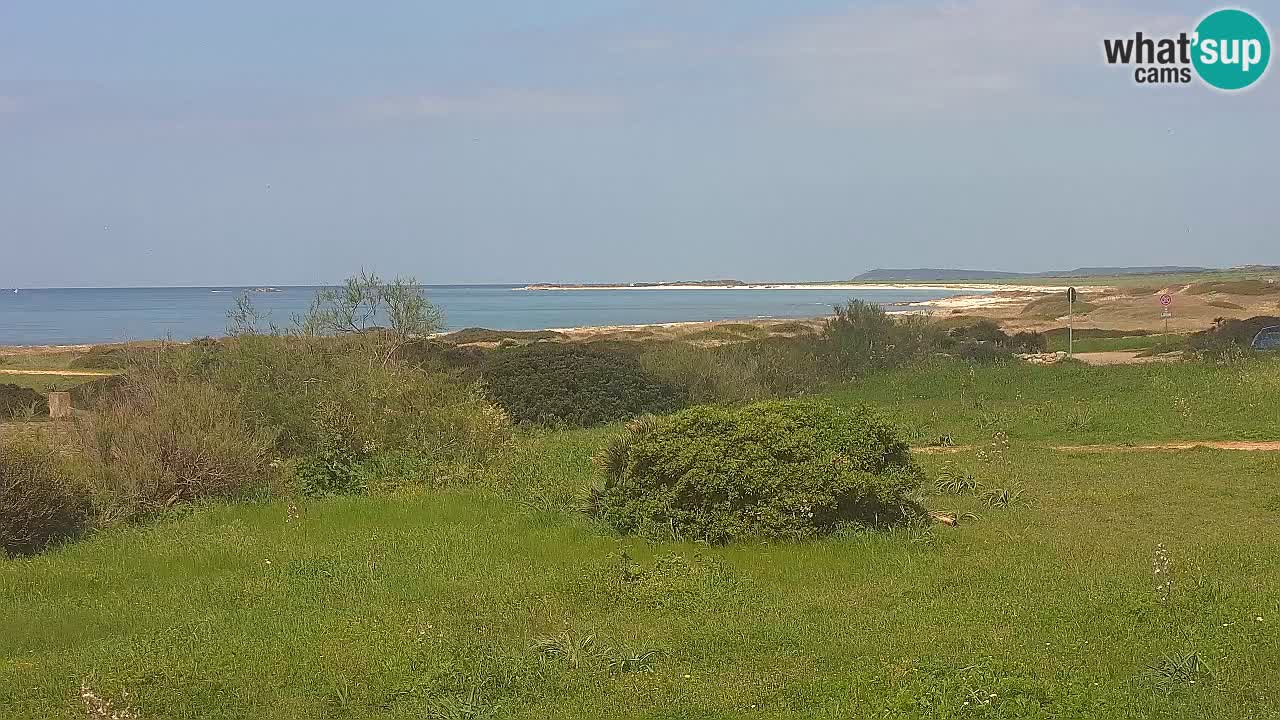 Mari Ermi beach | Is Arutas – Oristano