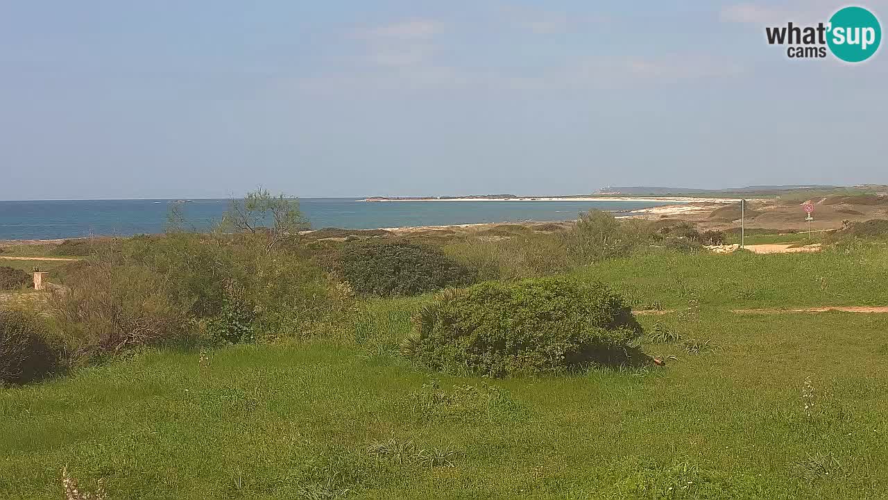 Plaža Mari Ermi | Is Arutas – Oristano
