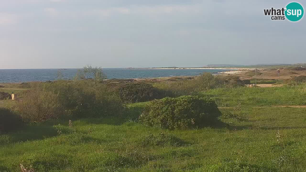 Spiaggia Mari Ermi | Is Arutas – Oristano