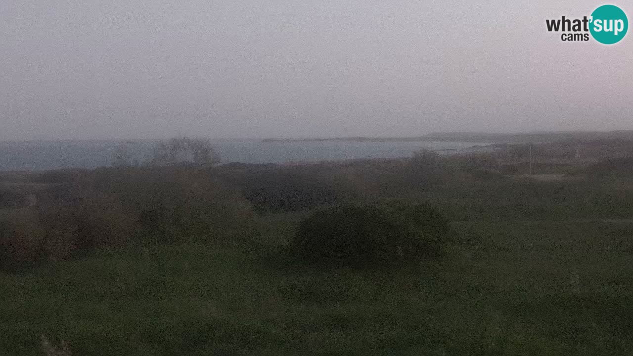 Mari Ermi Strand | Is Arutas – Oristano