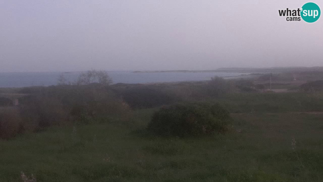 Plage Mari Ermi | Is Arutas – Oristano