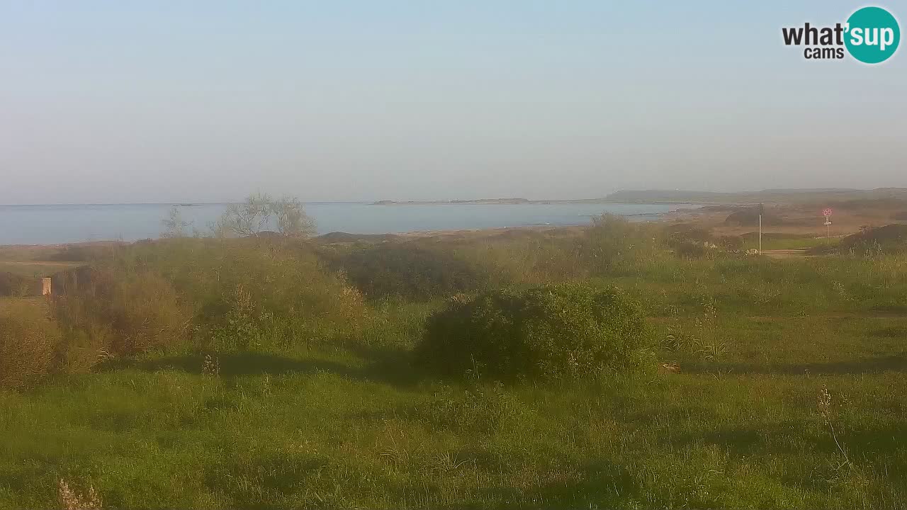 Mari Ermi beach | Is Arutas – Oristano