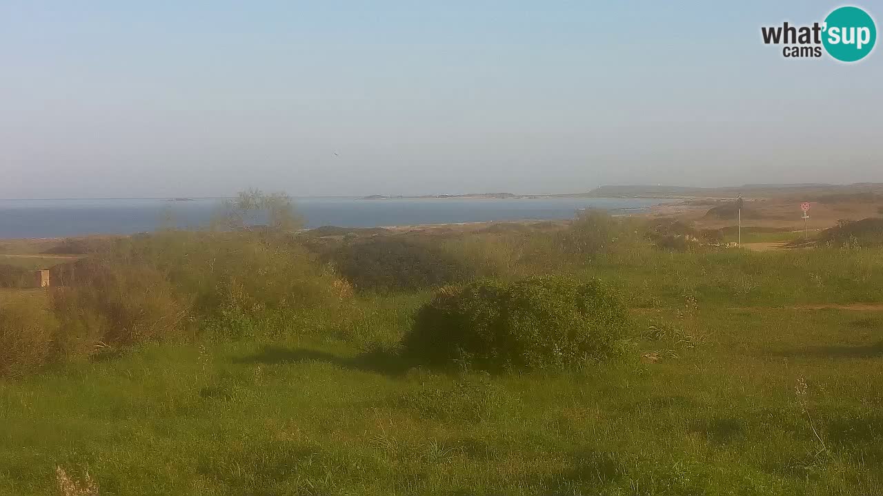 Mari Ermi Strand | Is Arutas – Oristano