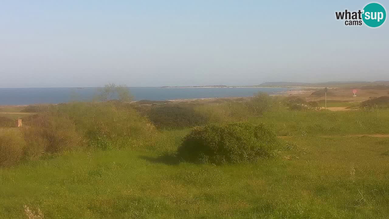 Playa Mari Ermi | Is Arutas – Oristano