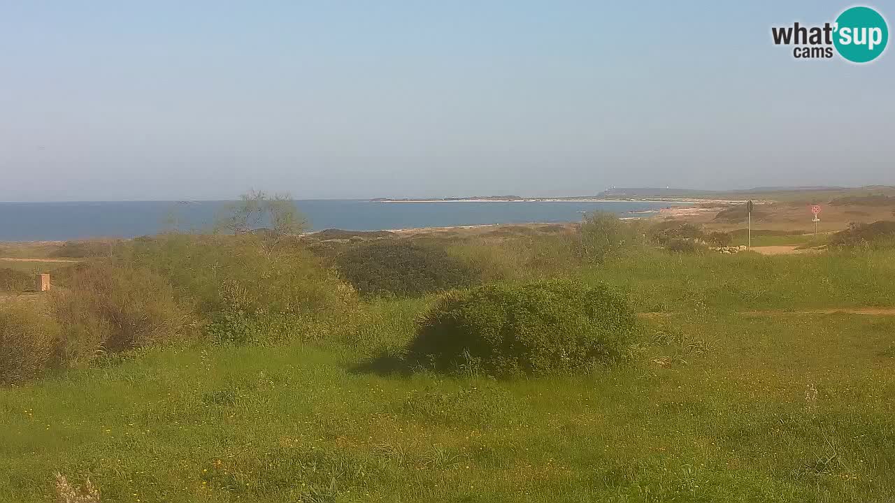 Mari Ermi beach | Is Arutas – Oristano