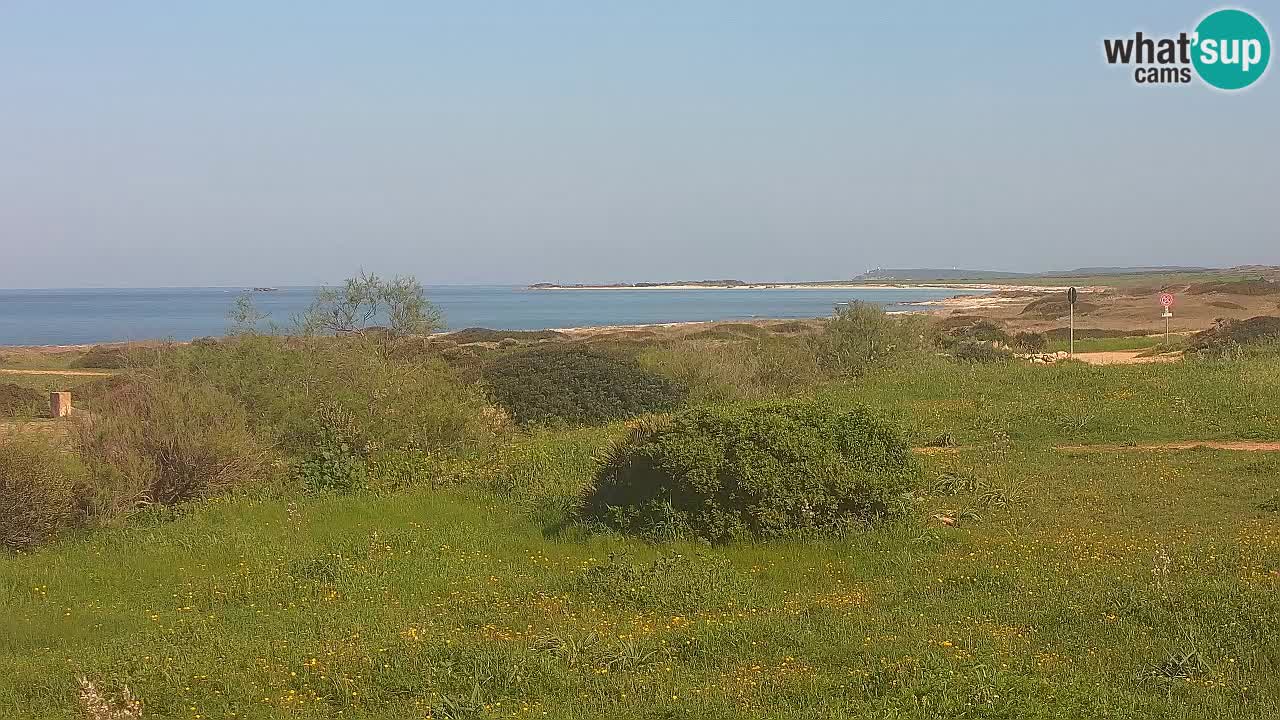 Plage Mari Ermi | Is Arutas – Oristano