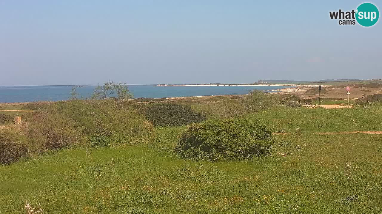 Plaža Mari Ermi | Is Arutas – Oristano