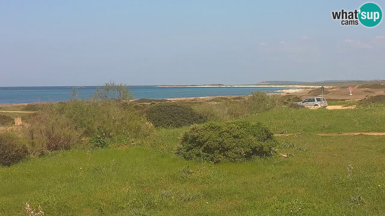 Plaža Mari Ermi | Is Arutas – Oristano
