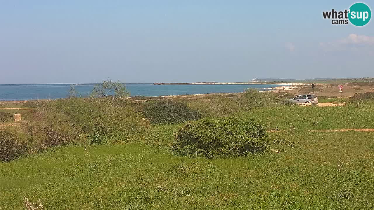 Plaža Mari Ermi | Is Arutas – Oristano