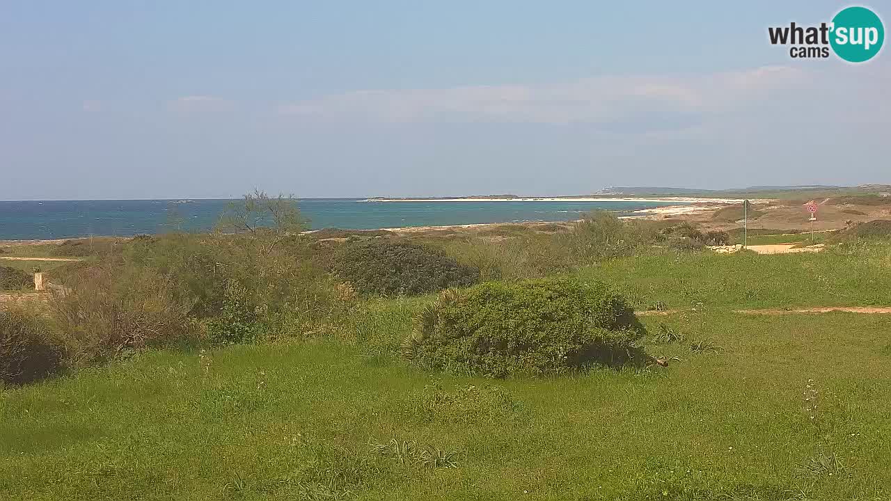 Plage Mari Ermi | Is Arutas – Oristano