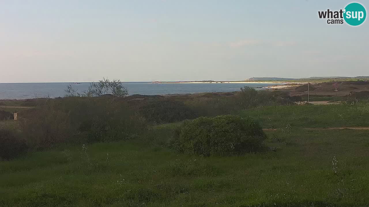 Plage Mari Ermi | Is Arutas – Oristano