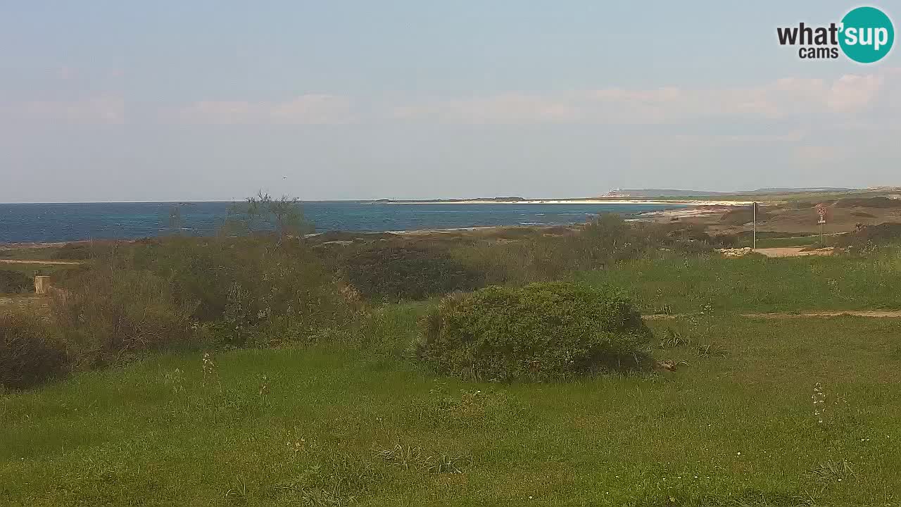 Plage Mari Ermi | Is Arutas – Oristano