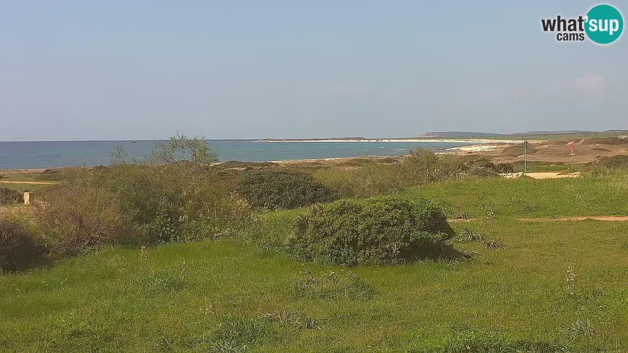 Spiaggia Mari Ermi | Is Arutas – Oristano