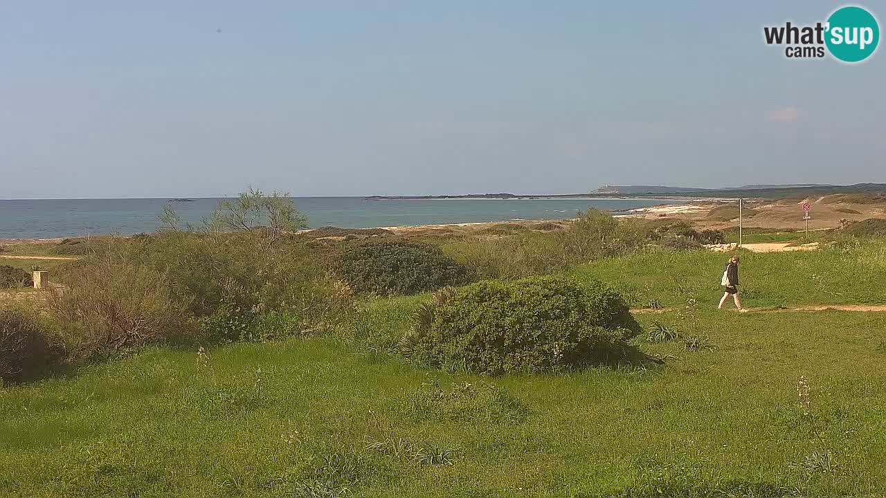 Plage Mari Ermi | Is Arutas – Oristano