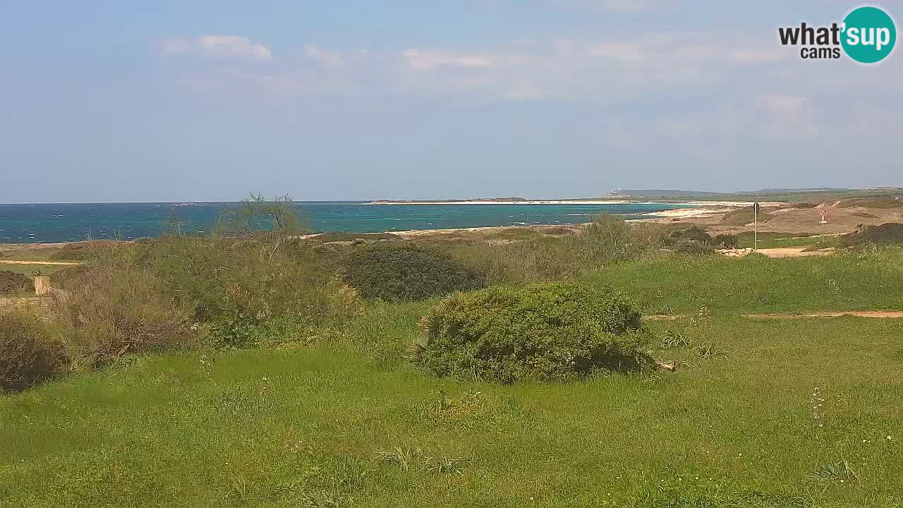 Mari Ermi beach | Is Arutas – Oristano