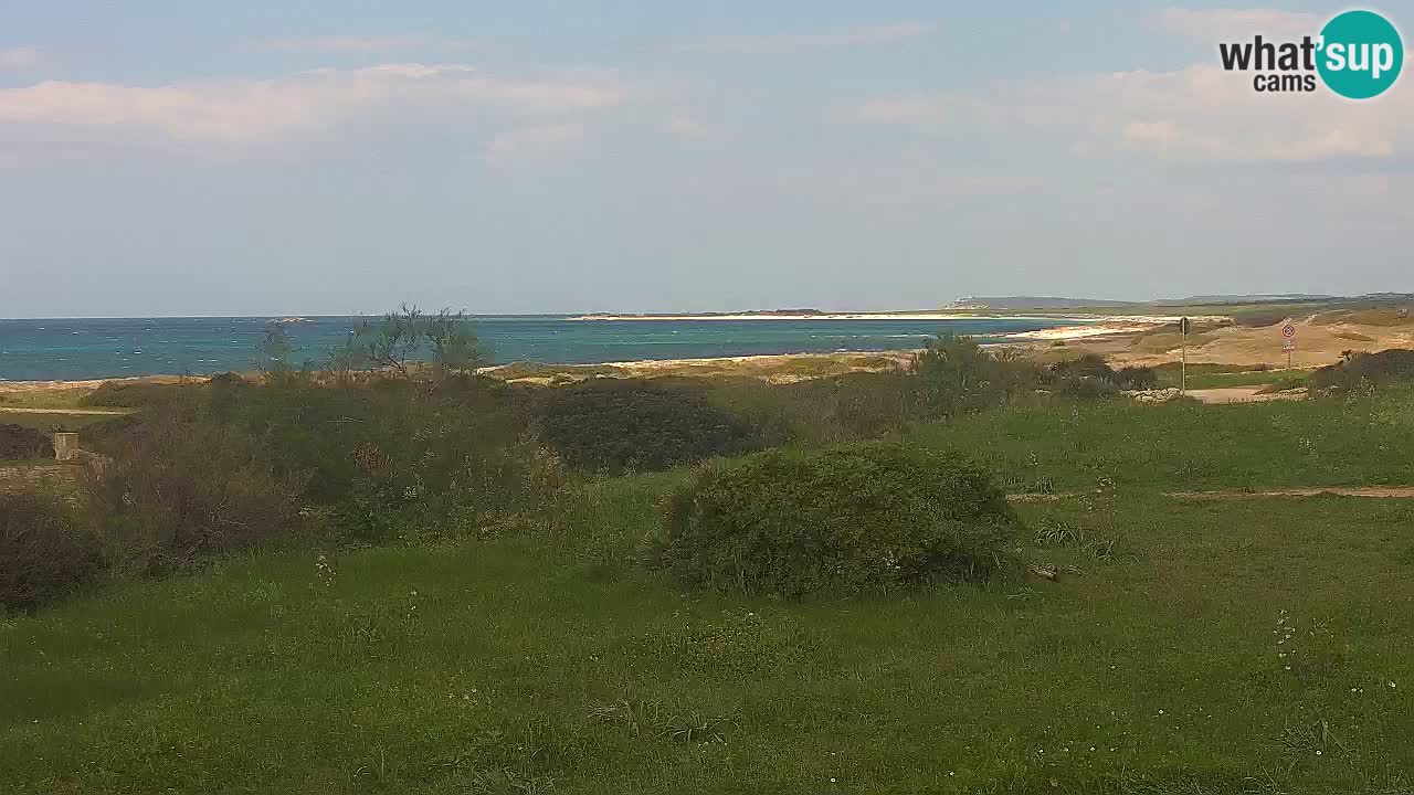 Mari Ermi Strand | Is Arutas – Oristano