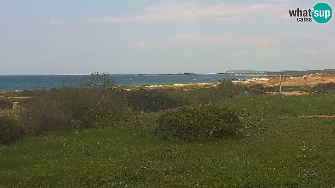 Plage Mari Ermi | Is Arutas – Oristano