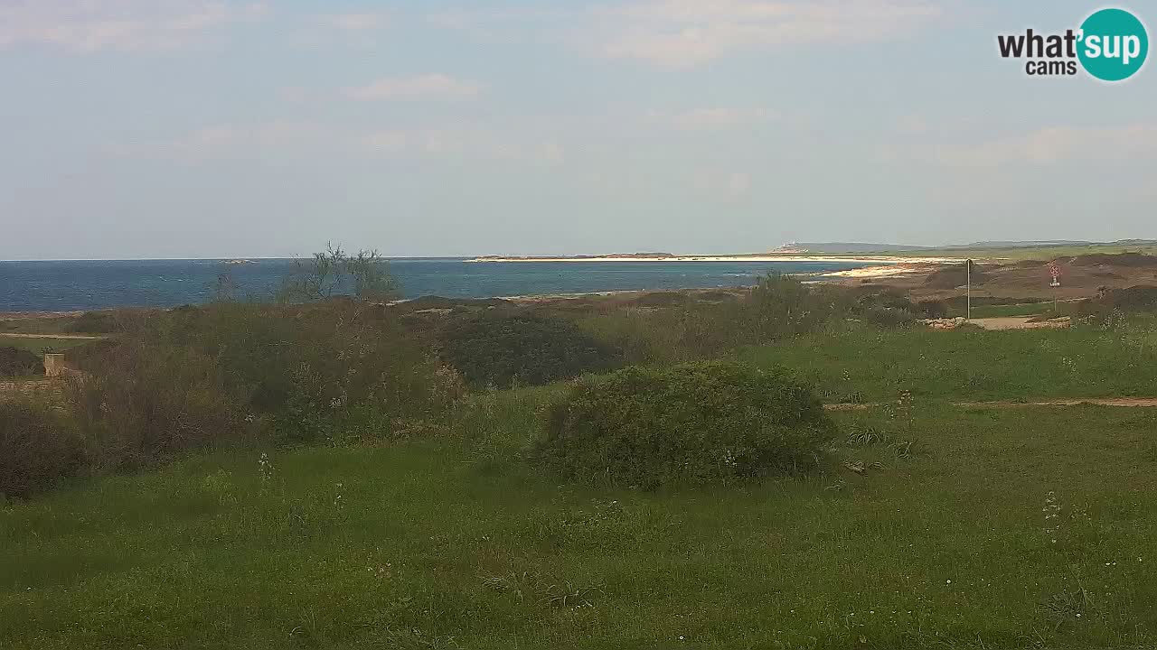 Spiaggia Mari Ermi | Is Arutas – Oristano