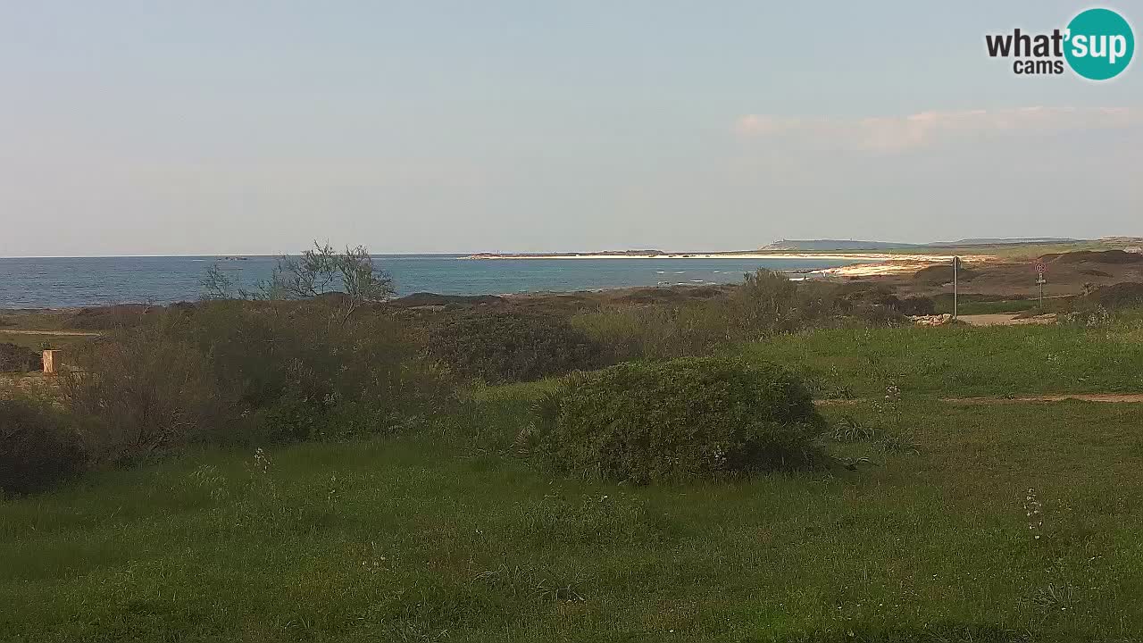 Playa Mari Ermi | Is Arutas – Oristano