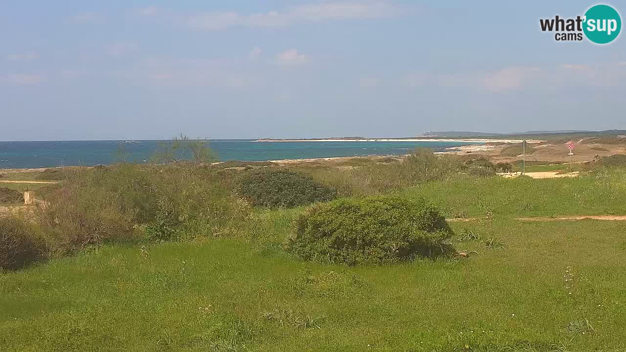 Playa Mari Ermi | Is Arutas – Oristano