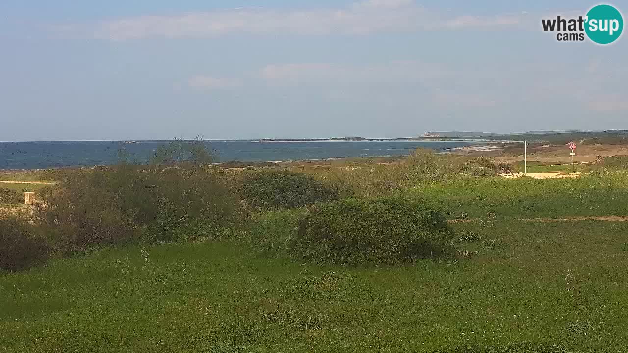 Playa Mari Ermi | Is Arutas – Oristano