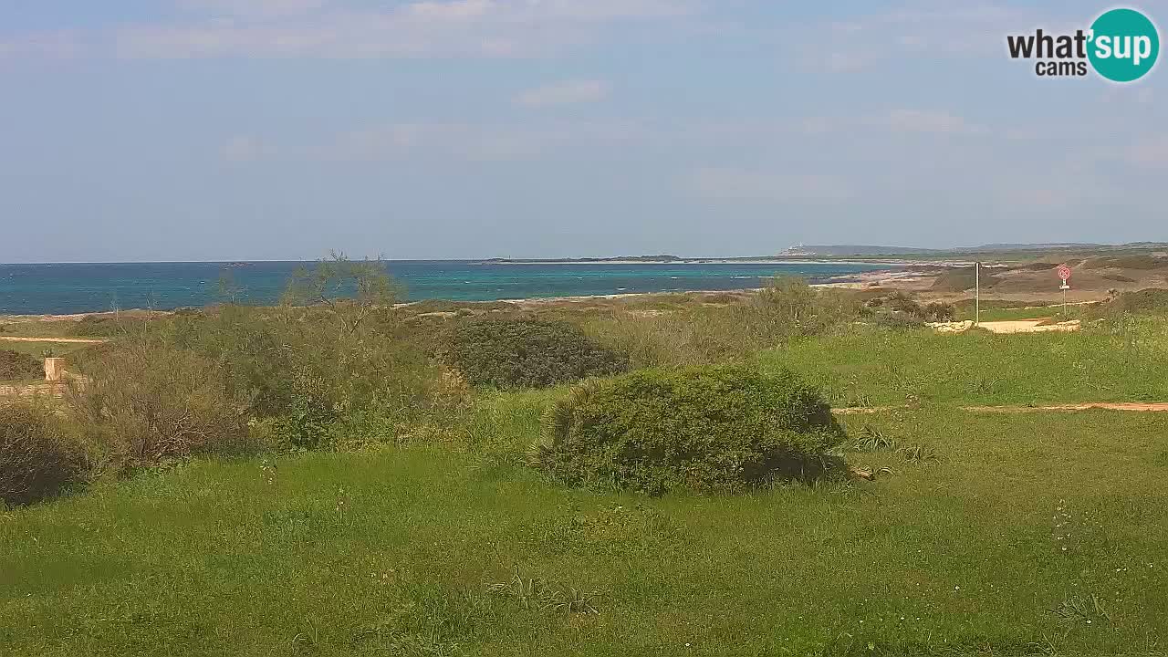 Mari Ermi beach | Is Arutas – Oristano