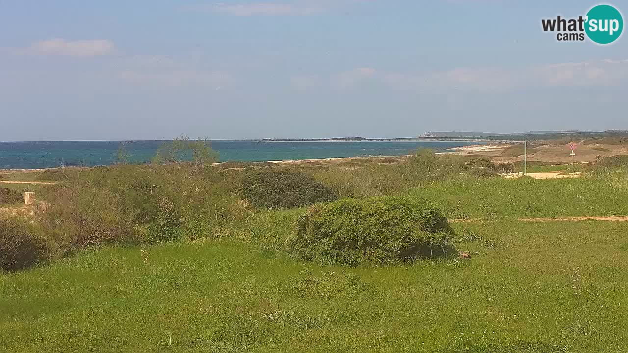 Mari Ermi beach | Is Arutas – Oristano