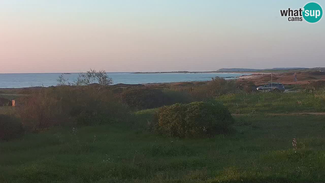 Playa Mari Ermi | Is Arutas – Oristano