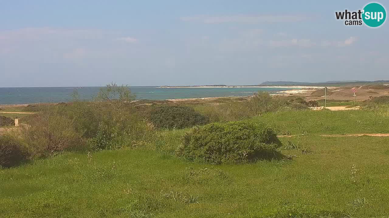 Mari Ermi beach | Is Arutas – Oristano