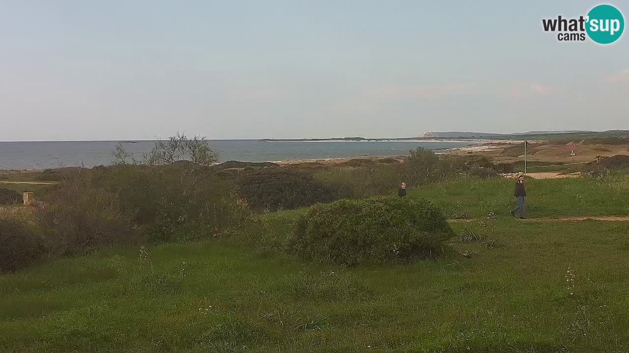 Mari Ermi beach | Is Arutas – Oristano