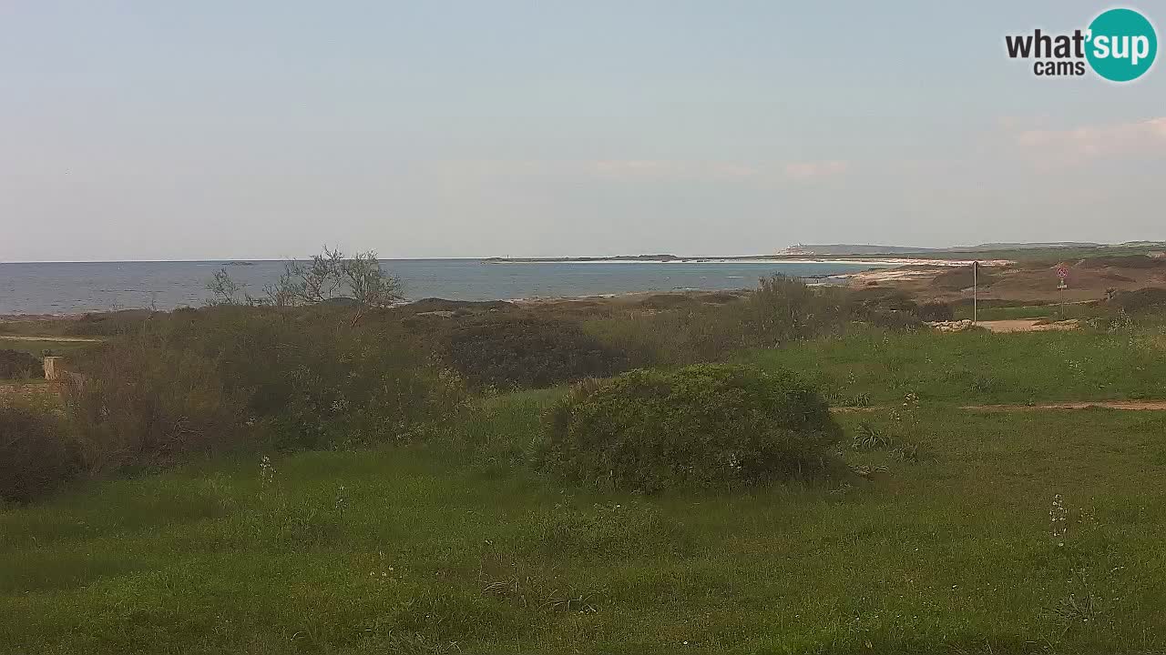 Plage Mari Ermi | Is Arutas – Oristano