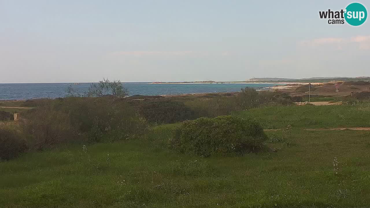 Mari Ermi Strand | Is Arutas – Oristano