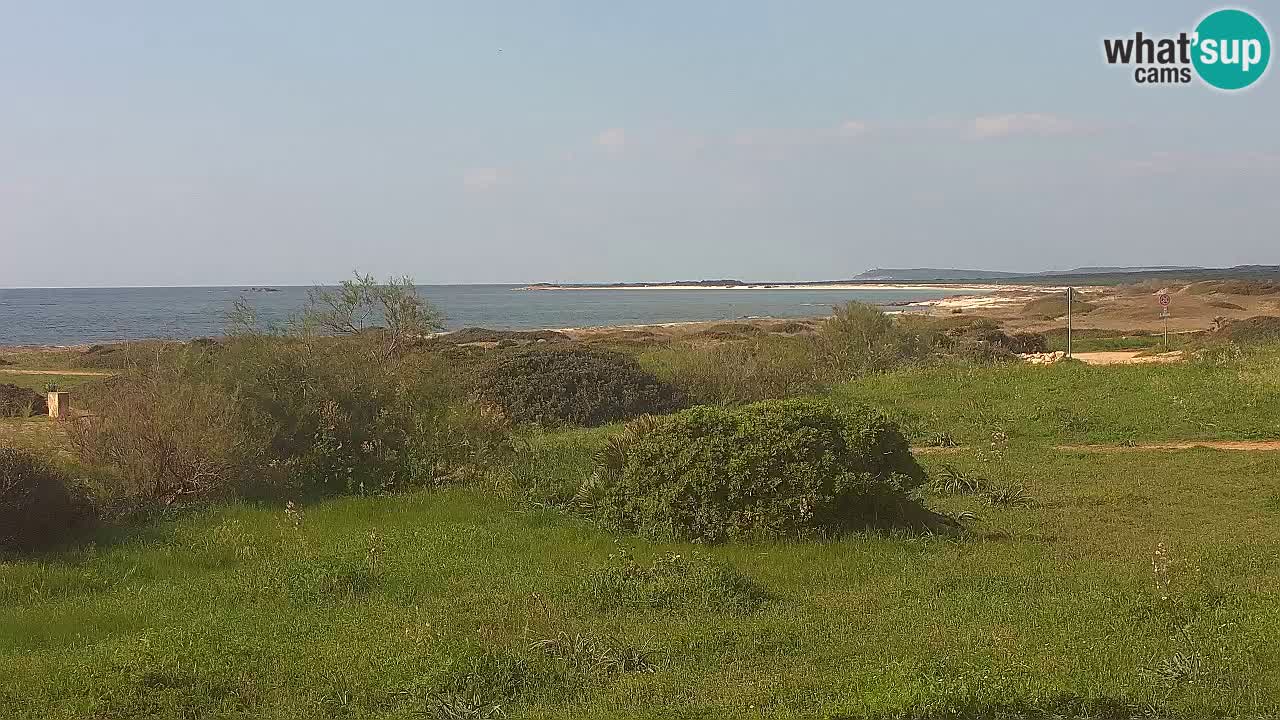 Plage Mari Ermi | Is Arutas – Oristano