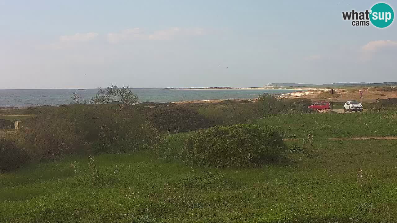 Plaža Mari Ermi | Is Arutas – Oristano