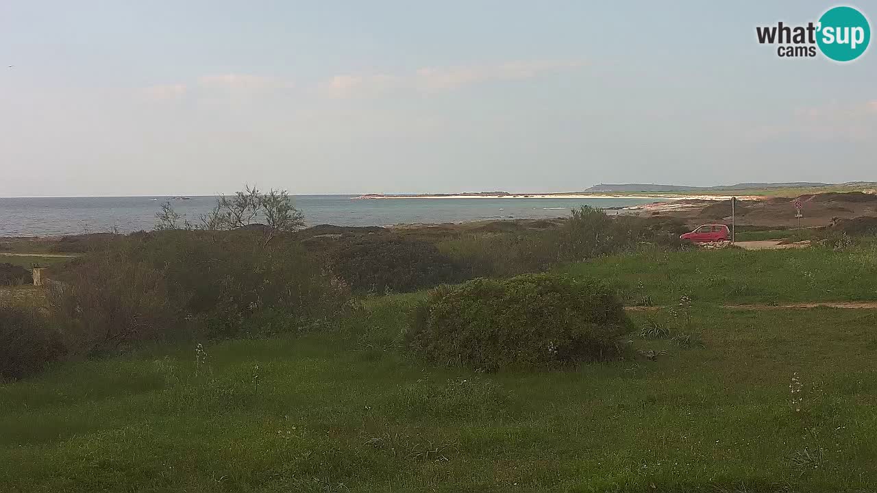 Mari Ermi Strand | Is Arutas – Oristano