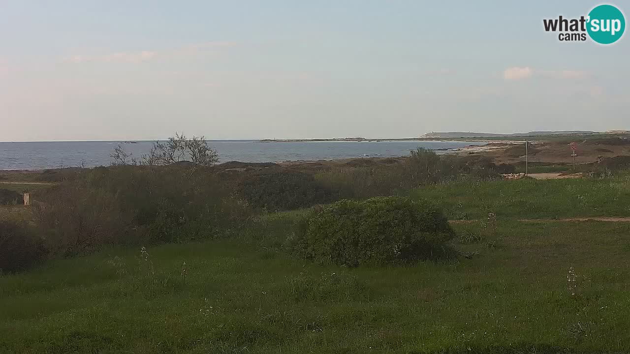 Plaža Mari Ermi | Is Arutas – Oristano