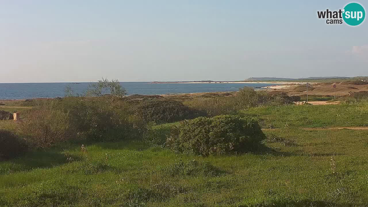 Mari Ermi beach | Is Arutas – Oristano