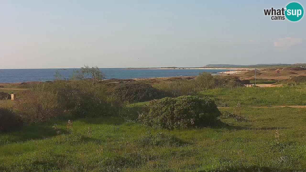 Spiaggia Mari Ermi | Is Arutas – Oristano