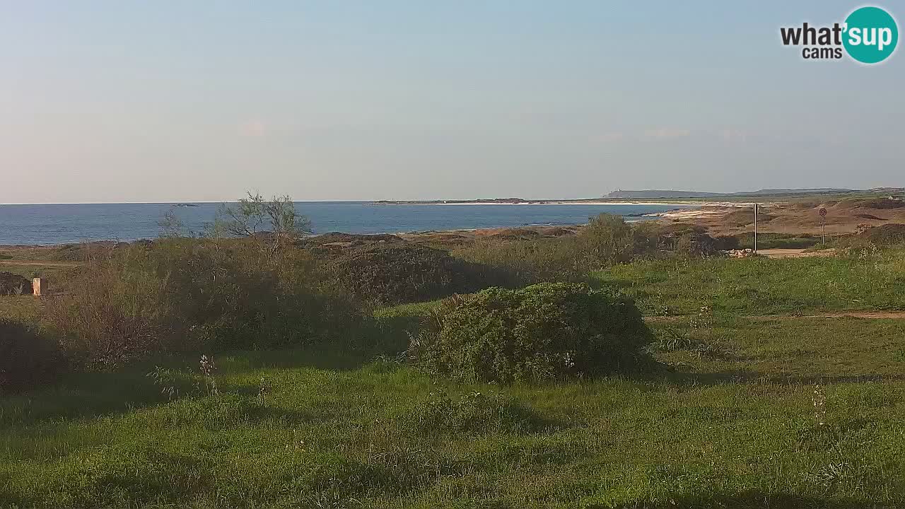 Spiaggia Mari Ermi | Is Arutas – Oristano