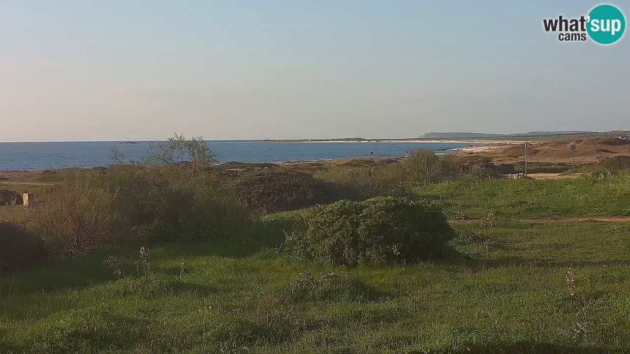 Playa Mari Ermi | Is Arutas – Oristano