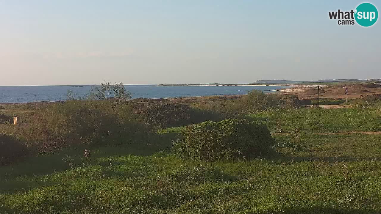 Mari Ermi Strand | Is Arutas – Oristano