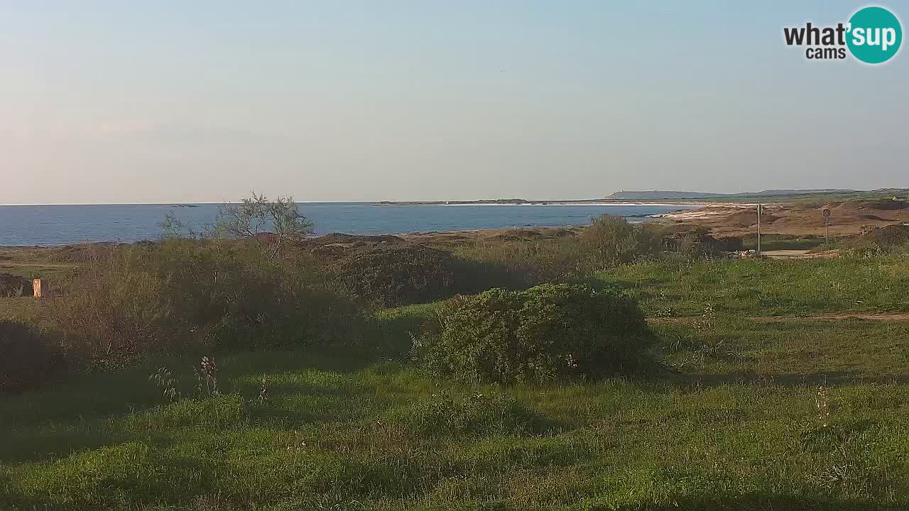 Playa Mari Ermi | Is Arutas – Oristano