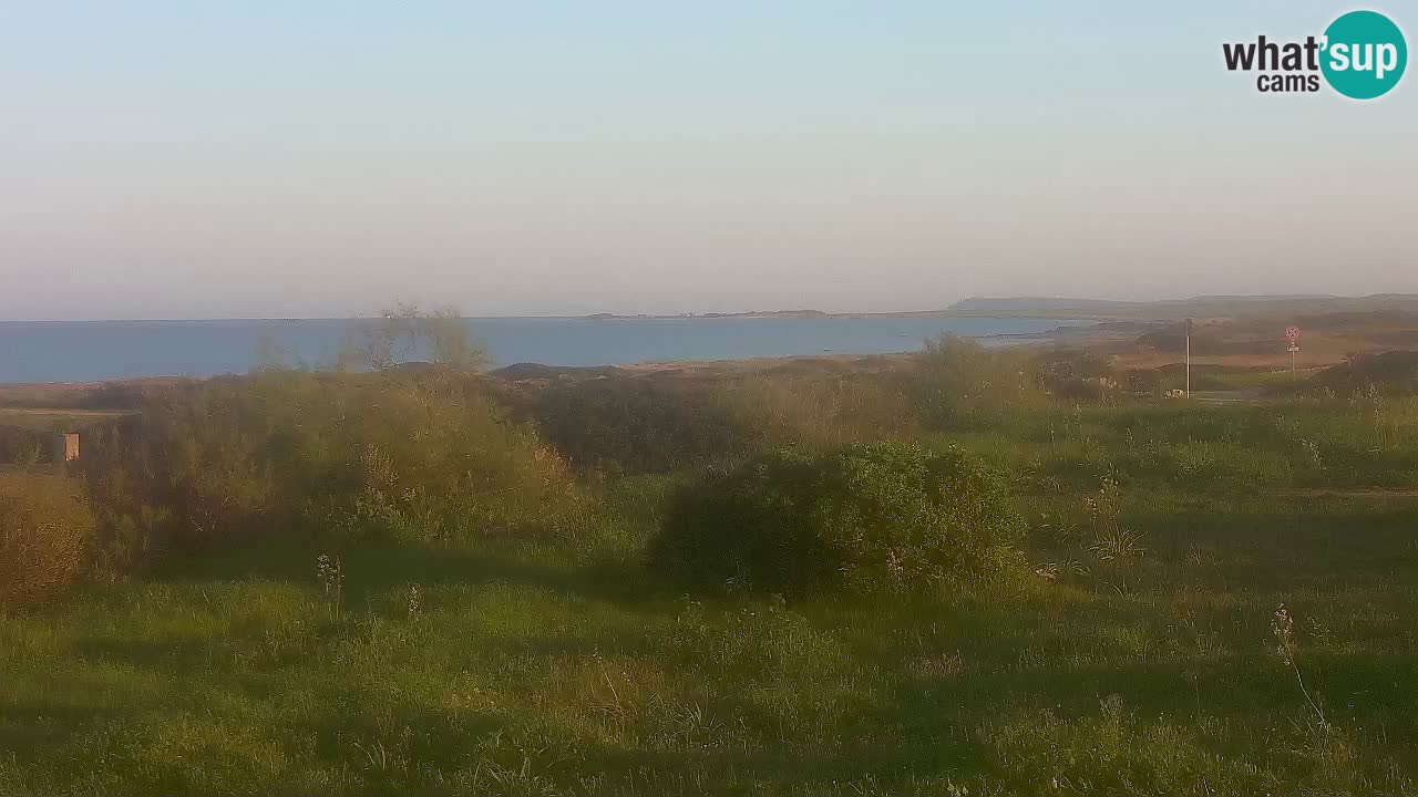 Playa Mari Ermi | Is Arutas – Oristano